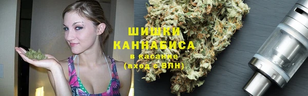 индика Наволоки