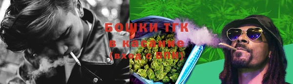 индика Наволоки