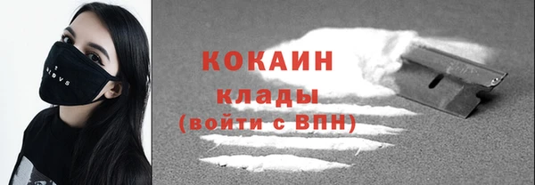 индика Наволоки