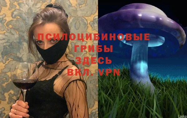 прущая мука Надым