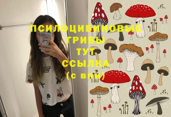 индика Наволоки