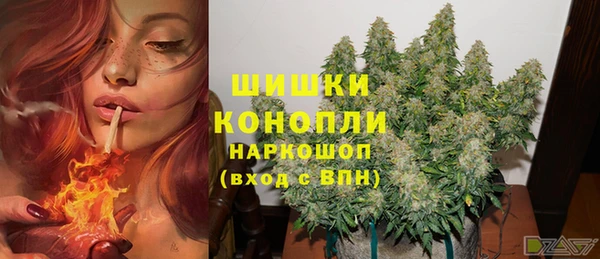 индика Наволоки