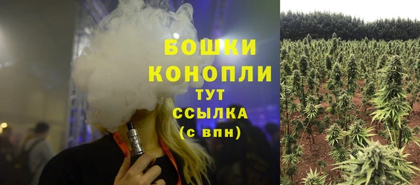 индика Наволоки