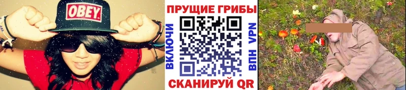 купить закладку  Хотьково  мега tor  Галлюциногенные грибы Cubensis 